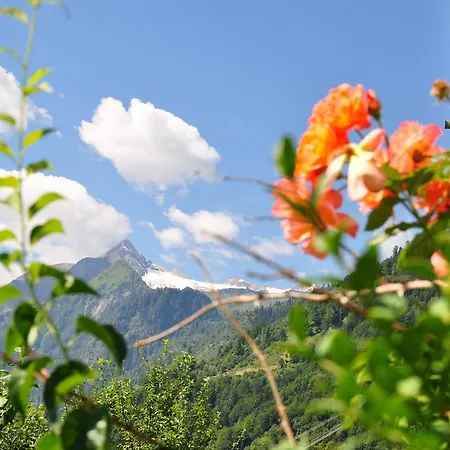 Apartament Obernosterer - Grossglockner