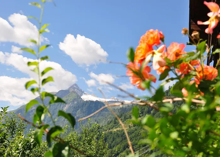 Apartamento Obernosterer - Grossglockner